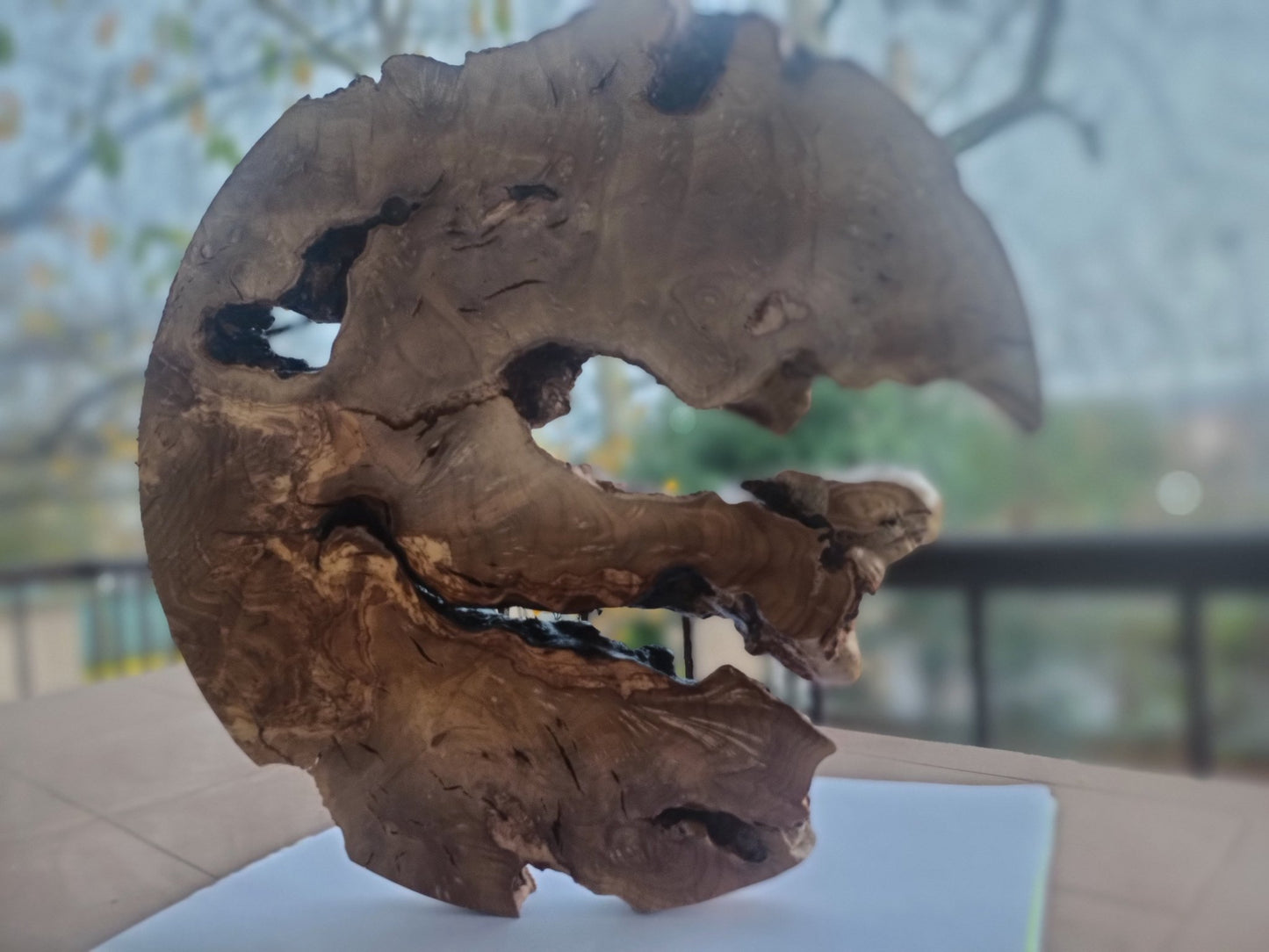 20" Round Olive Slab