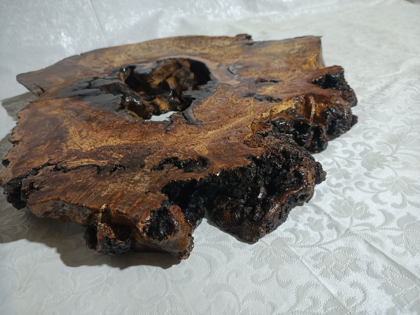 Ash Root Slab 12" - 16" - 20" Sizes