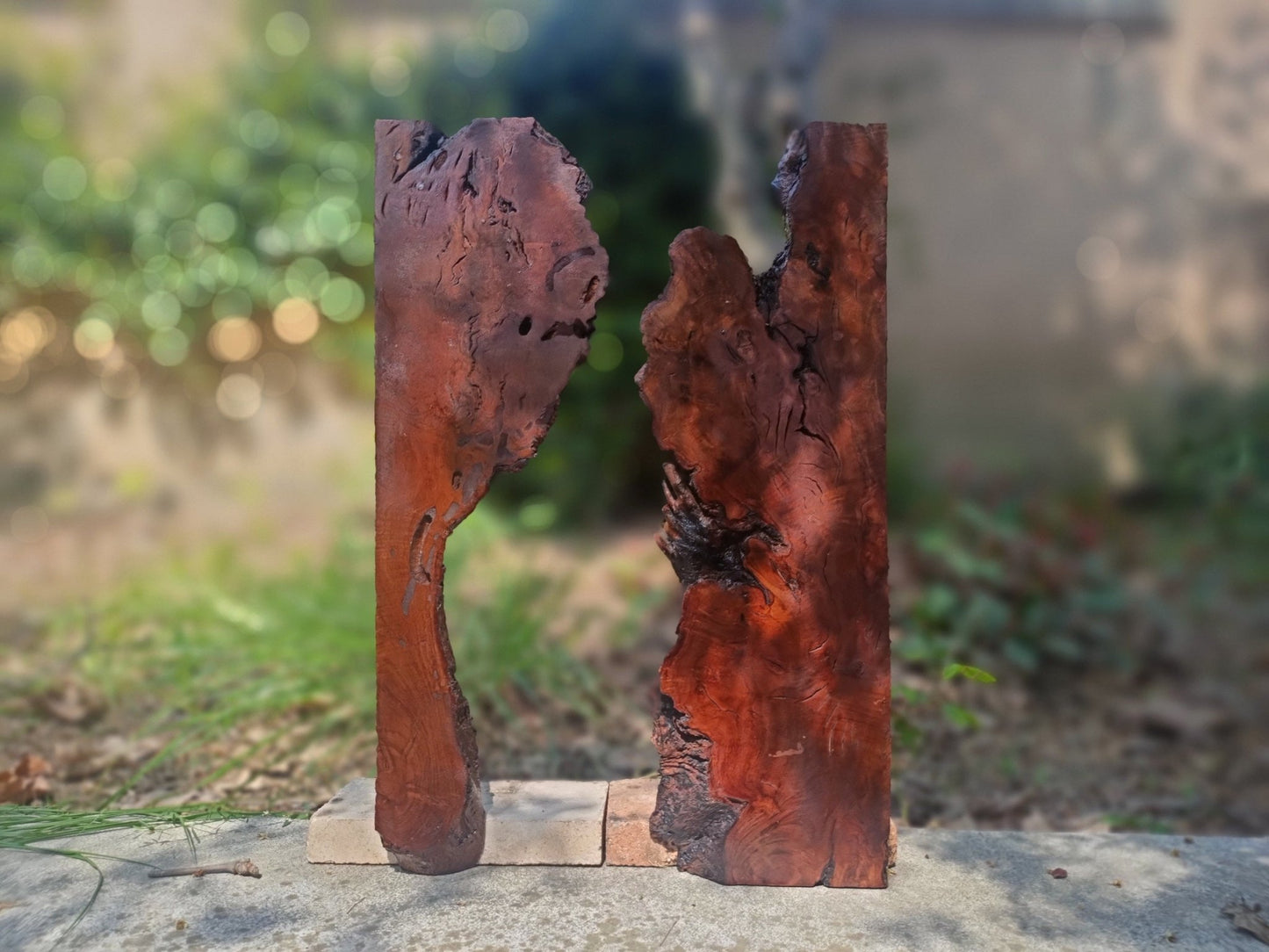 Brown Olive River Slab 20"