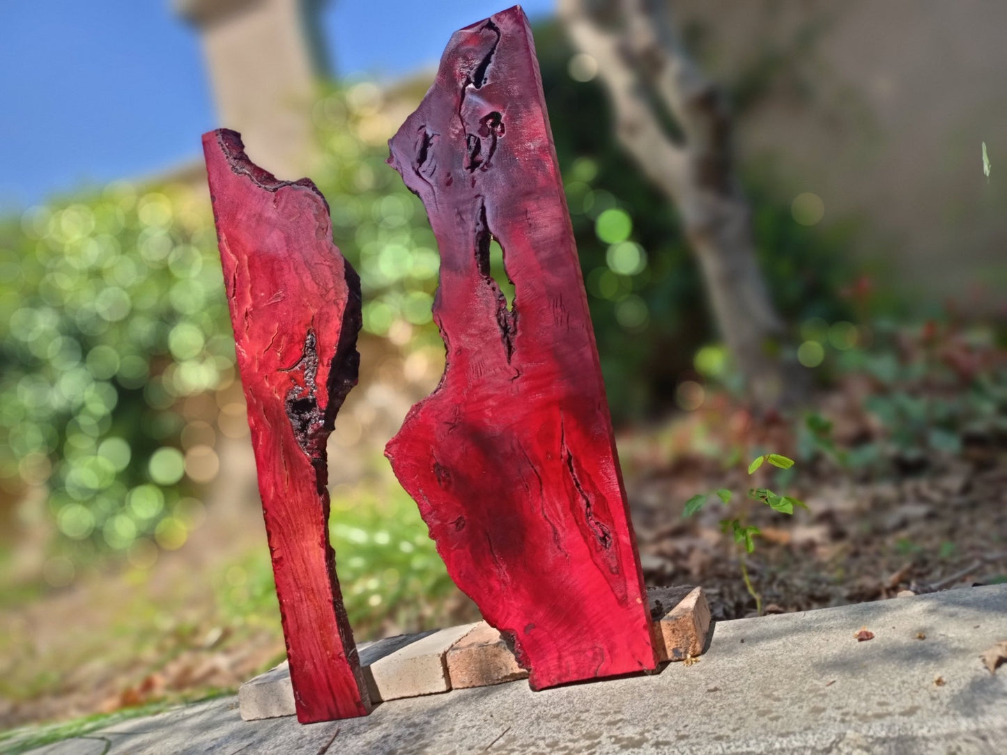 Red Olive River Slab 20"