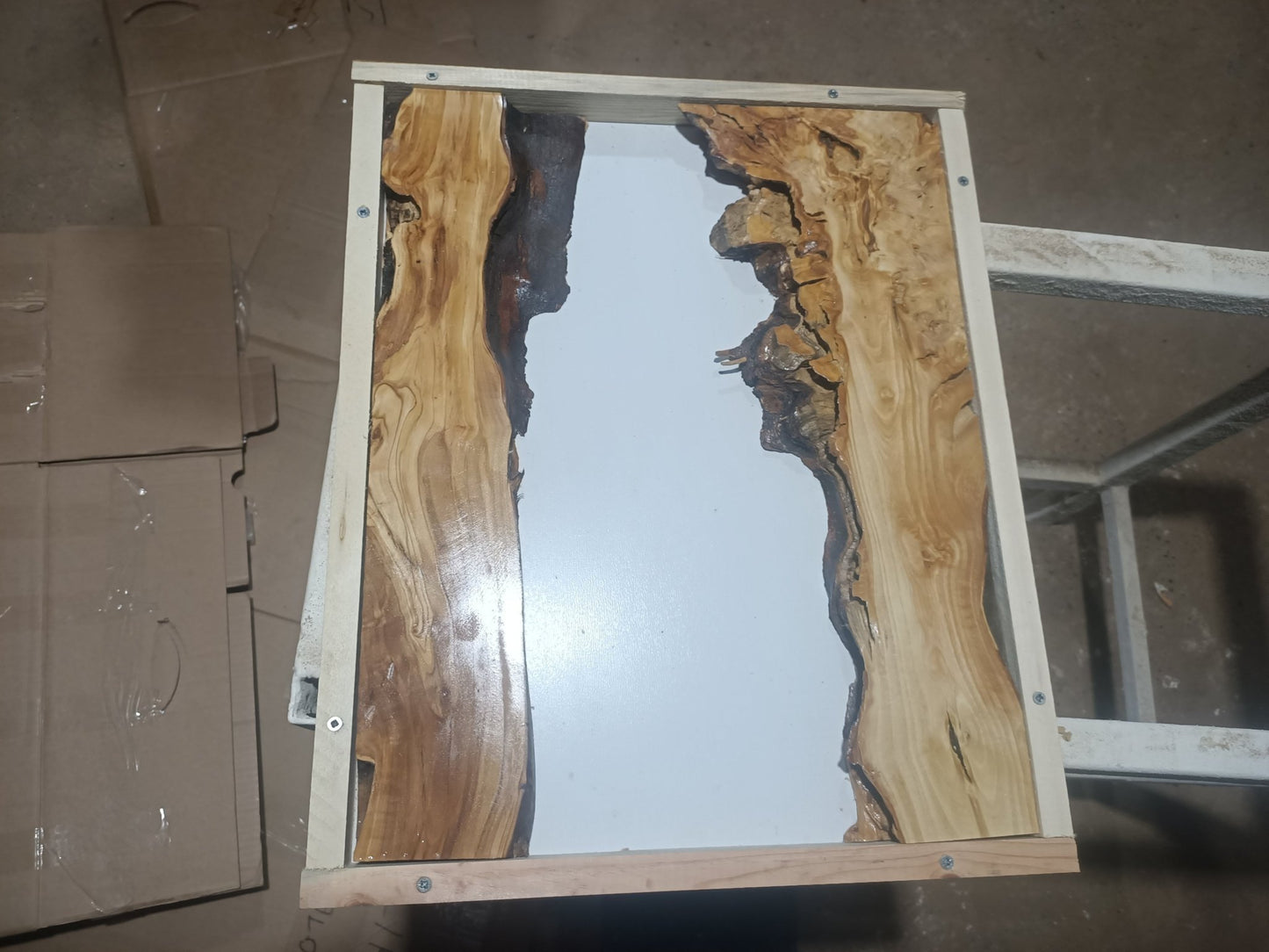 Varnished Olive Slabs 16"