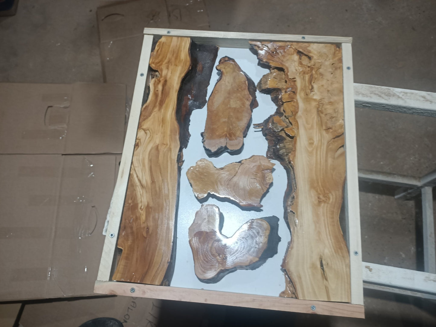 Olive Wood Slab Set 5Pcs