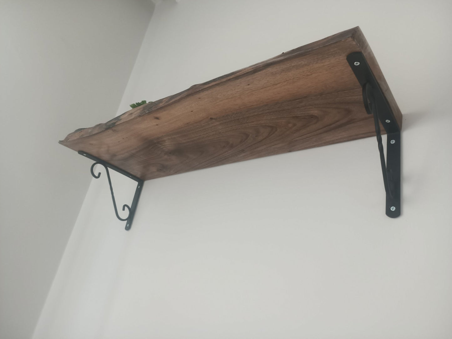 Bookshelf Walnut Linden 16-24-32