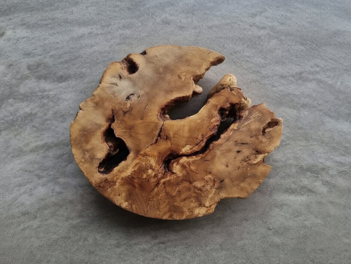 16" Round Olive Slab