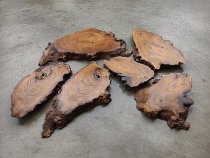 6 Pcs Wild Olive Slab Set