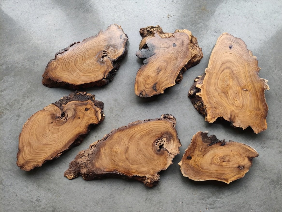 6 Pcs Wild Olive Slab Set