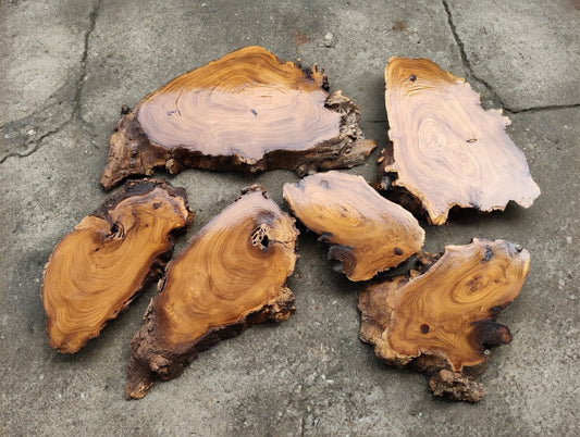 6 Pcs Wild Olive Slab Set