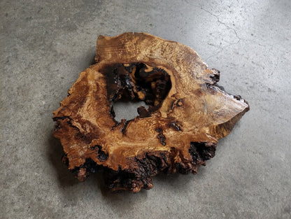 Ash Slab 12"-16"-20"Sizes