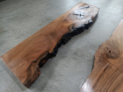 Black Walnut River Slabs 20-24-32