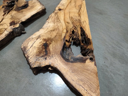 Burl Oak Wood River Slab 20"