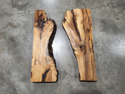 Burl Oak Wood River Slab 24"