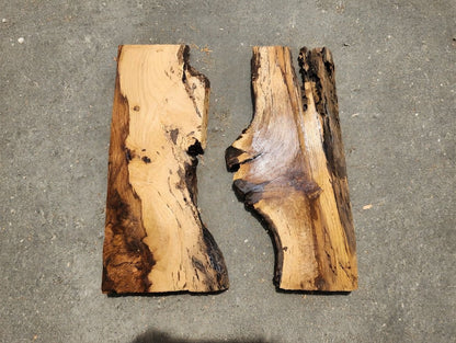 Burl Oak Wood River Slab 24"