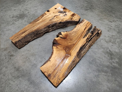 Burl Oak Wood Slab 16"