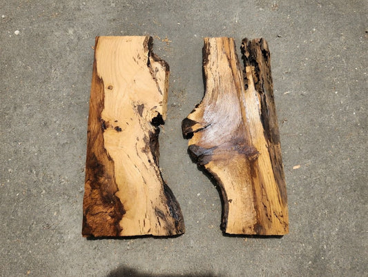 Burl Oak Wood Slab 16"