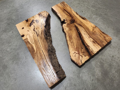Burl Oak Wood Slab 16"