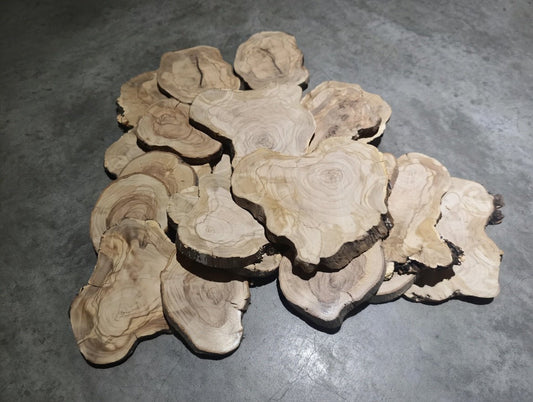 Circle Olive Slabs