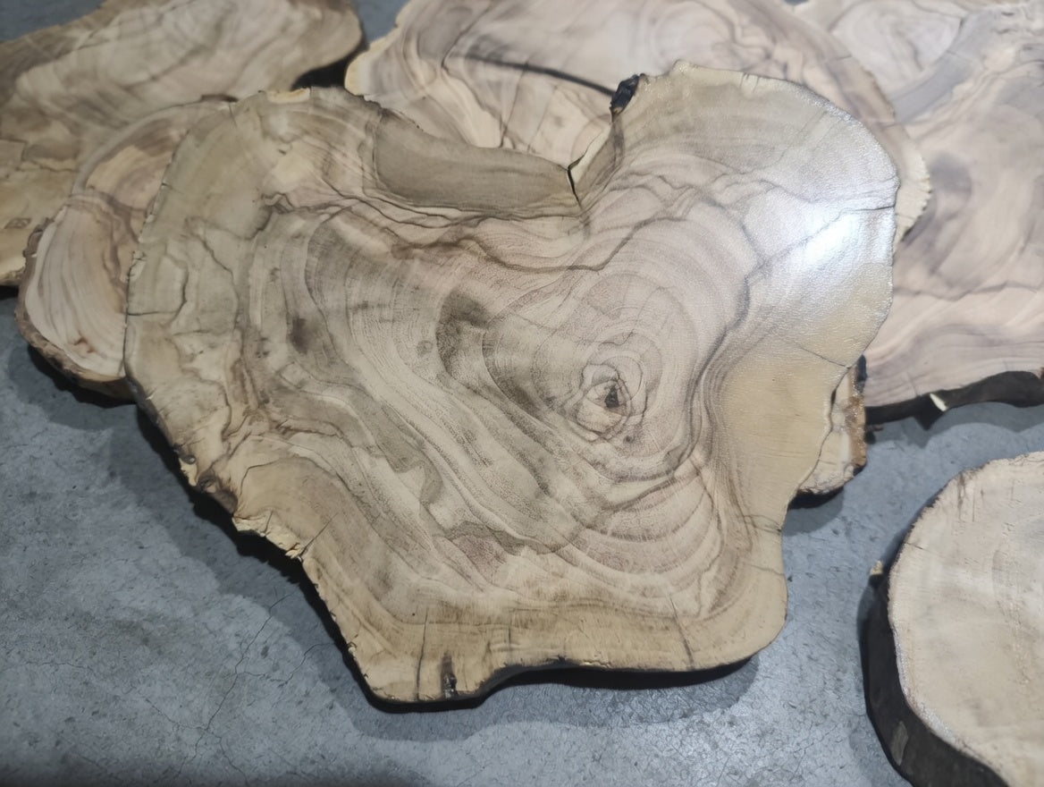 Circle Olive Slabs