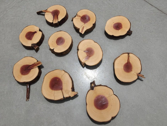 Juniper 10 Pcs Cookie Set