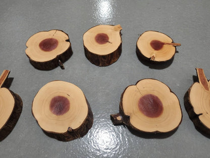 Juniper 10 Pcs Cookie Set