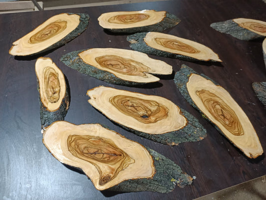 Varnished Olive Branches 8Pcs