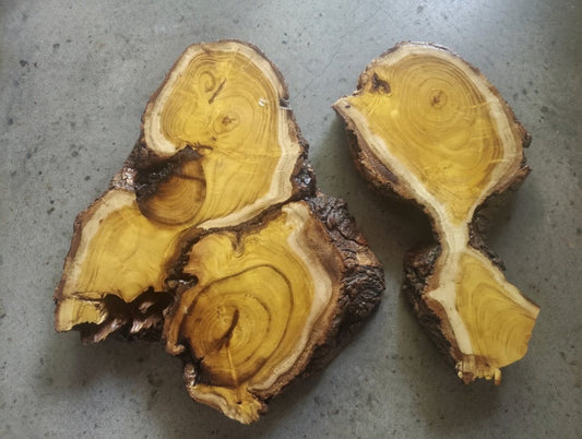 Mulberry Slab Set 2Pcs