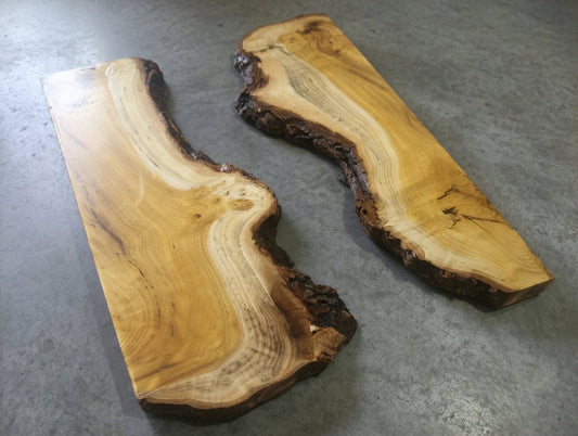 Mulberry Slabs 20"