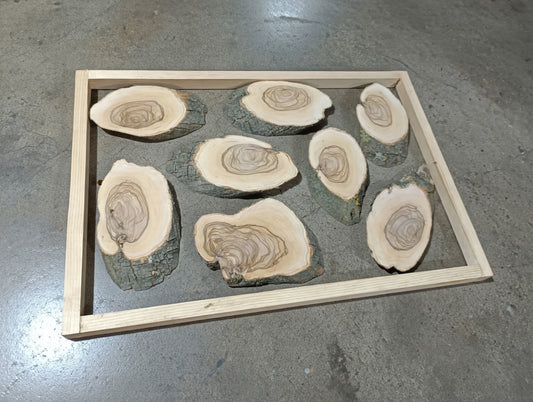 Olive Branches 16" x 24" 8Pcs