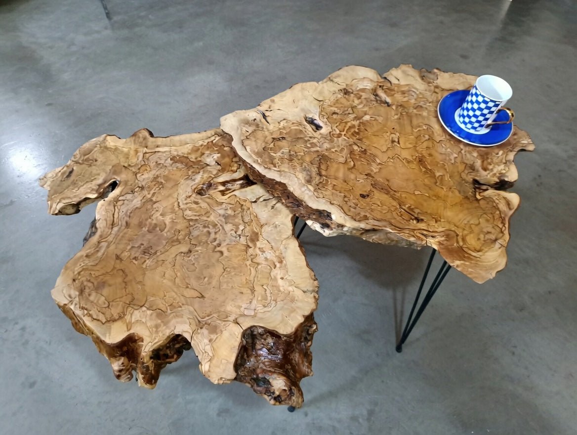 Olive Coffee Table Set of 2