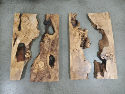 Olive River Slab 20"