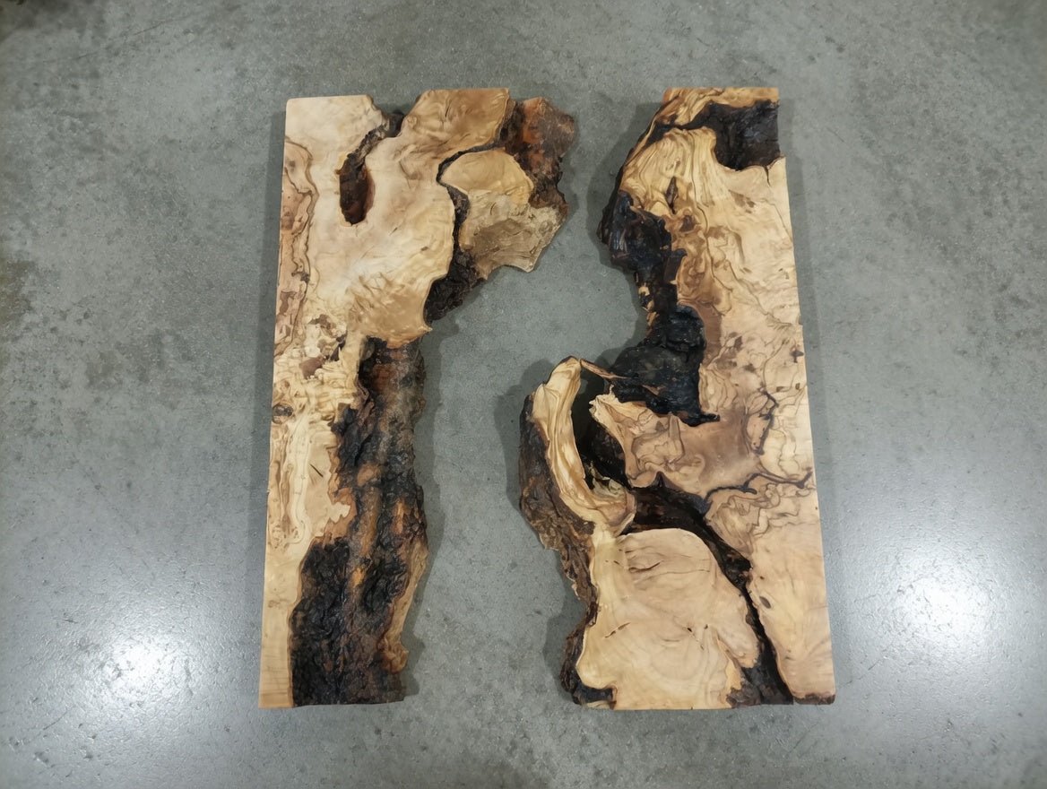 Olive River Slab 20"