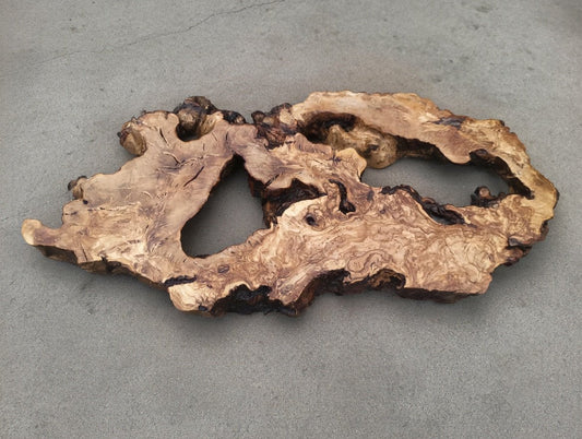 Olive Slab 16"-20"-24"