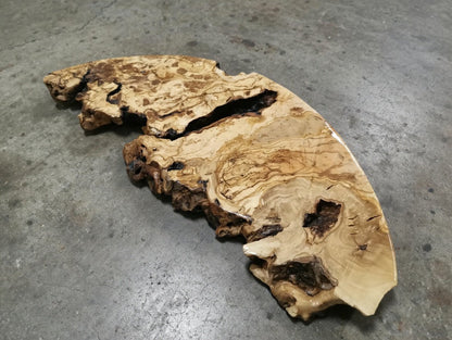 Round Olive 16" Slabs