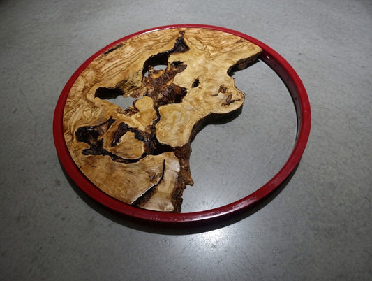 Round Olive Slab for Epoxy Projects