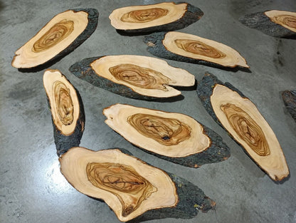 15" Olive Branches 8Pcs