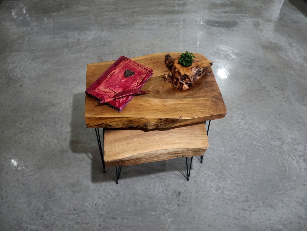 Walnut Coffee Table Set of 2