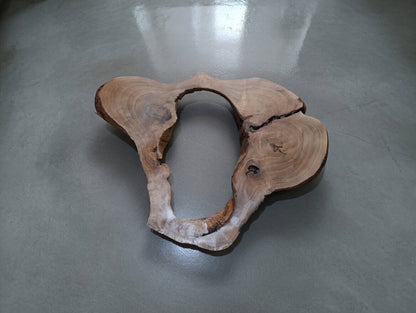 Walnut Epoxy Slab 20"