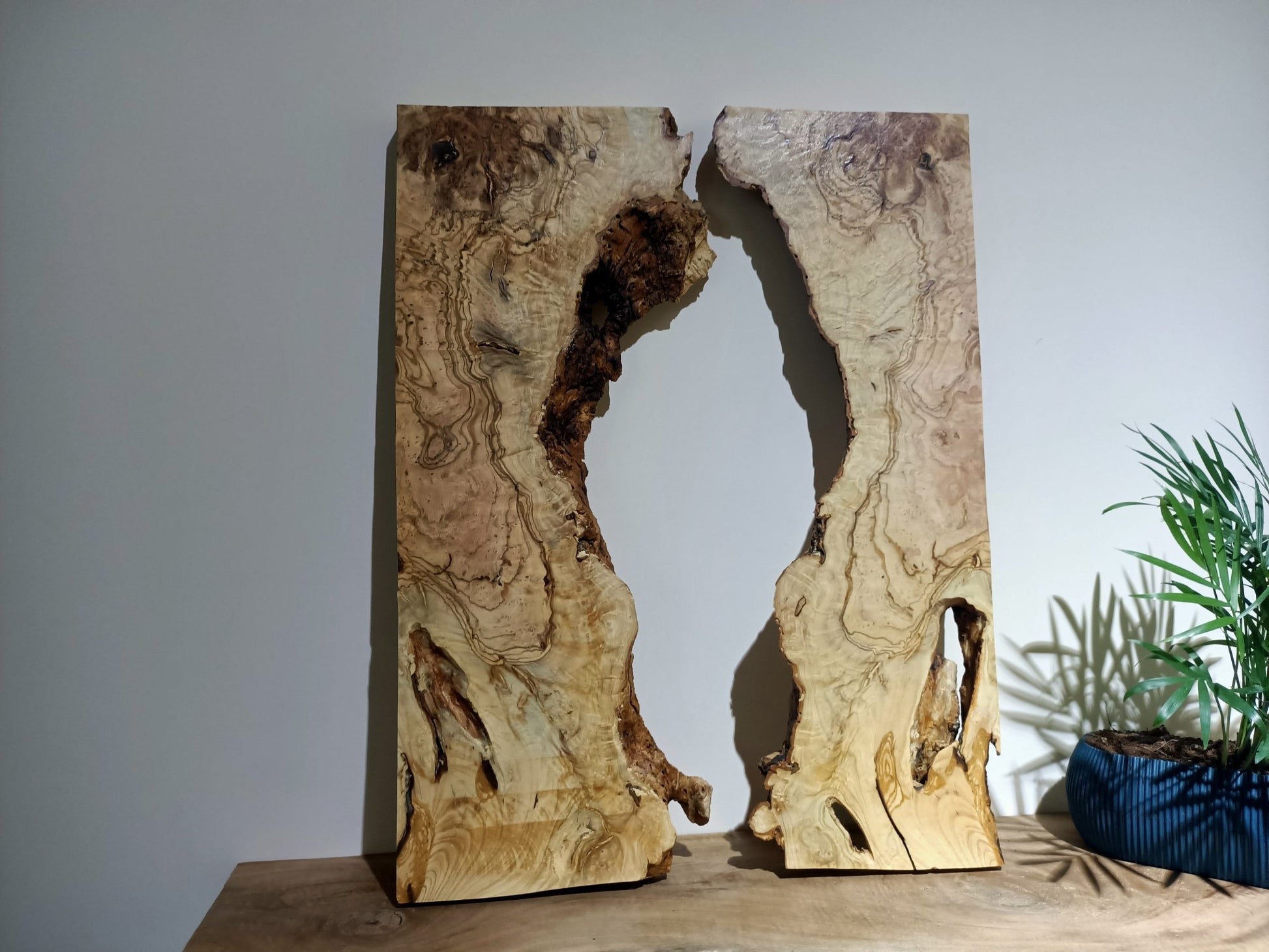 Space Olive Wood Slab Epoxy Table - On Wooden